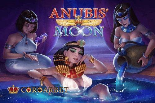 Multi-Sport Coverage